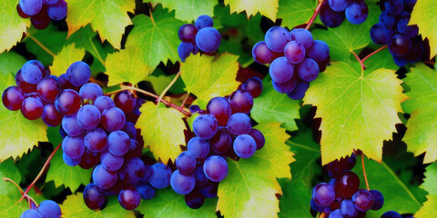Grapes on a branch seamless texture, pattern background (created with Generative AI)