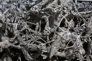 Details of Wat Rong Khun - White Temple in Chiang Rai, Thailand