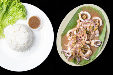 close up view grilled squid with sauce and rice.