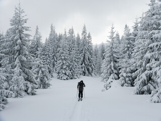 Fototapeta na wymiar Ski touring skier in winter mountains forest scenery