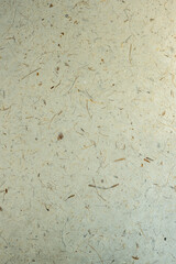 White mulberry paper texture use dry flower and leaf fiber mix for abstract texture background. Mulberry paper with texture background white tone.