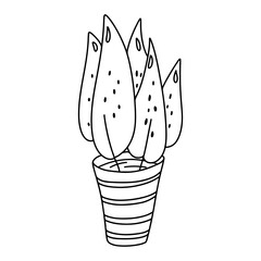 House plant in hand drawn doodle style. Simple illustration of plant on house pot vector.