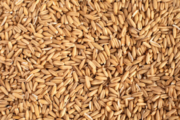 Scattered oats, dry oats, grits background top view
