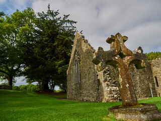 Fototapeta premium old historic ruin in the landscape of ireland