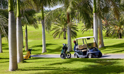 Golf car parked with bag and golf clubs in the shade of a tree near the fairway of a golf course on...