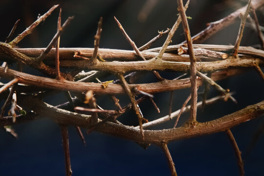 Thorn wreath. Death and resurrection of Jesus Christ. Horizontal image.