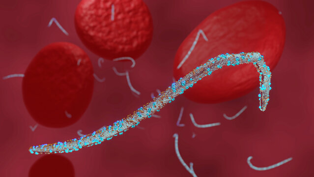 Marburg virus disease concept, virus illustration idea - 3d rendering.