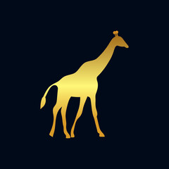 Vector golden and black icon with giraffe isolated on white with shadow.