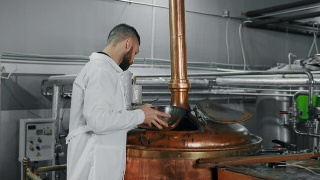 technologist is pouring malt into tank for mushing and preparing wort in modern brewery