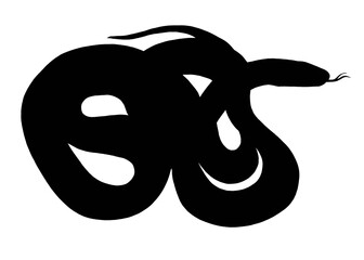 Silhouette of a tangled snake on white background 