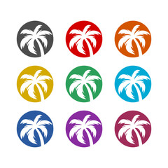 Palm tree circle icon isolated on white background. Set icons colorful