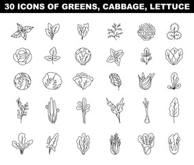 Greens, lettuce and cabbage black and white icons set. Vegetable salad