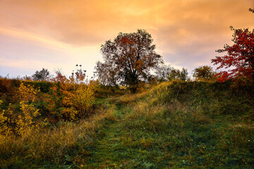 Obraz na płótnie Canvas Beautiful evening sunset in October, autumn landscape.