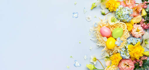 Easter composition with Spring Flowers and Easter eggs in nest on pastel blue background.