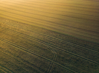 Fototapeta premium Frozen farmland in the morning during sunrise and the sun's rays falling on it