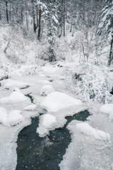 Beauty winter landscape with fair trees under the snow.