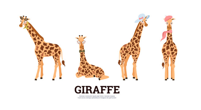 Funny african giraffes in head accessories, flat vector illustration isolated.