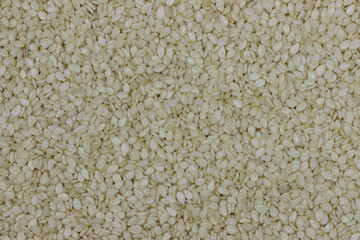sesame seeds for background use