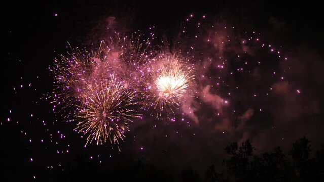 Fireworks display in the sky