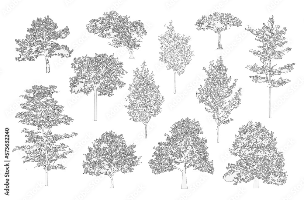 Wall mural Minimal style cad tree line drawing, Side view, set of graphics trees elements outline symbol for architecture and landscape design drawing. Vector illustration in stroke fill in white. Tropical - Wall murals