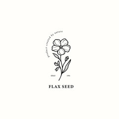 Line art flax seed illustration