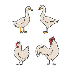 Domestic fowl. Cute animals icons set - duck, chick, goose, cock. Vector illustration with farm bird in cartoon style.