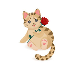 Cute cat with rose
