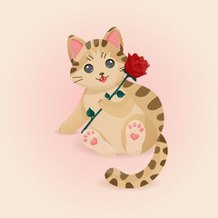 Cute cat with rose