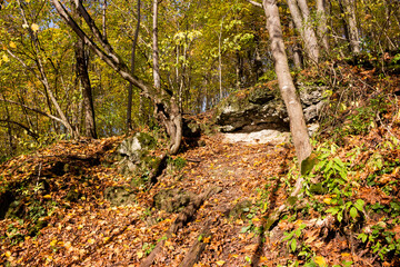 Beautiful forest landscape with rock outcrop on the slope. Left bank of the Nara River, Kaluga region, Russia