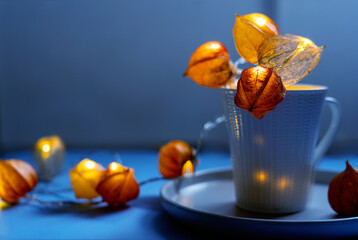 easter still life physalis deko 
Lantern fairy lights