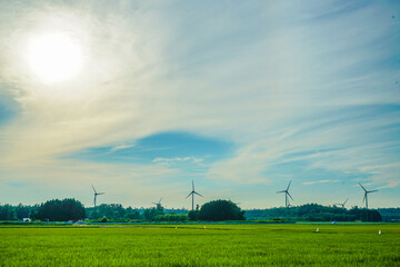 Fototapeta na wymiar 風力発電がある田舎の風景