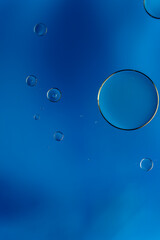 Abstract colorful bubbles. Soft background with blue tones and circles.