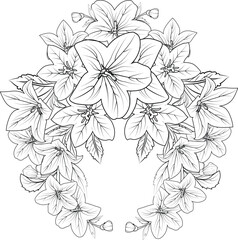 Doodle flower bouquet of line art, lovely design.
Easy sketch art of bellflowers, line art bouquets of floral hand-drawn illustrations, doodle zentangle, tattooing drawing coloring page.