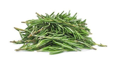 Rosemary leaves isolated on transparent background. PNG