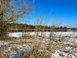 the river is ice-free and last year's grass is on the shore-a winter landscape