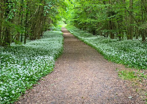 Killykeen forest park