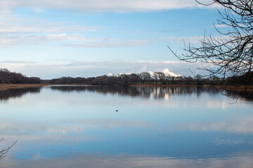 Rollesby Broad, Norfolk, on a cold winter's day. Part of the Broads National Park, UK