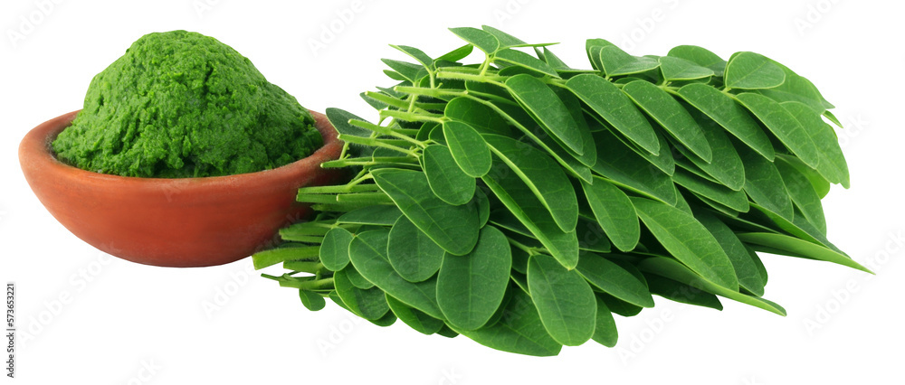 Poster moringa leaves with paste