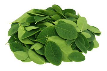 Moringa leaves