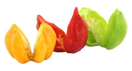 Bhut Jolokia chili pepper or the Naga Morich