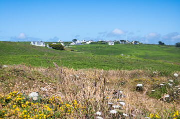 Paysage breton, prairie, ciel bleu et maison bretonnes
