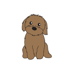 Maltipoo puppy vector icon. Cute small brown dog sitting on white background. Red mix of poodle and maltese