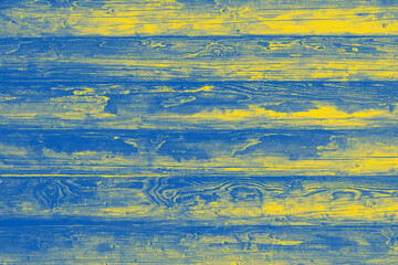 wooden wall colored in colors of Ukrainian flag
