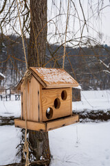 Bird feeding house in winter