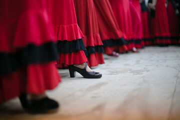 flamenco dance bailaora