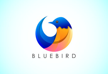 Modern colorful Bluebird logo design template vector illustration