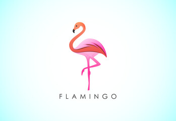 Modern colorful Flamingo bird logo design template vector illustration