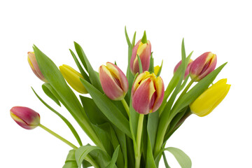 A bouquet of yellow and pink tulips isolated on a white background.