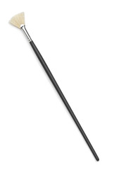 Top view of fan artist brush