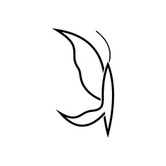 ILLUSTRATION OF BUTTERFLY AND LETTER J